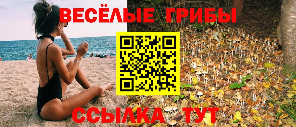 Павловский Посад  Галлюциногенные грибы мицелий  Вход с VPN 